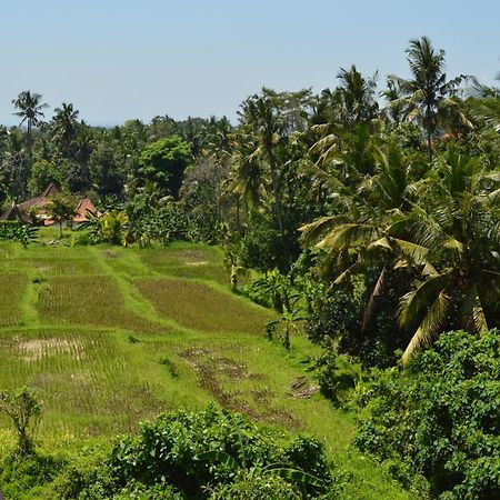 Askara Guest House & Hostel Ubud Exterior foto